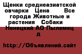 Щенки среднеазиатской овчарки › Цена ­ 1 - Все города Животные и растения » Собаки   . Ненецкий АО,Пылемец д.